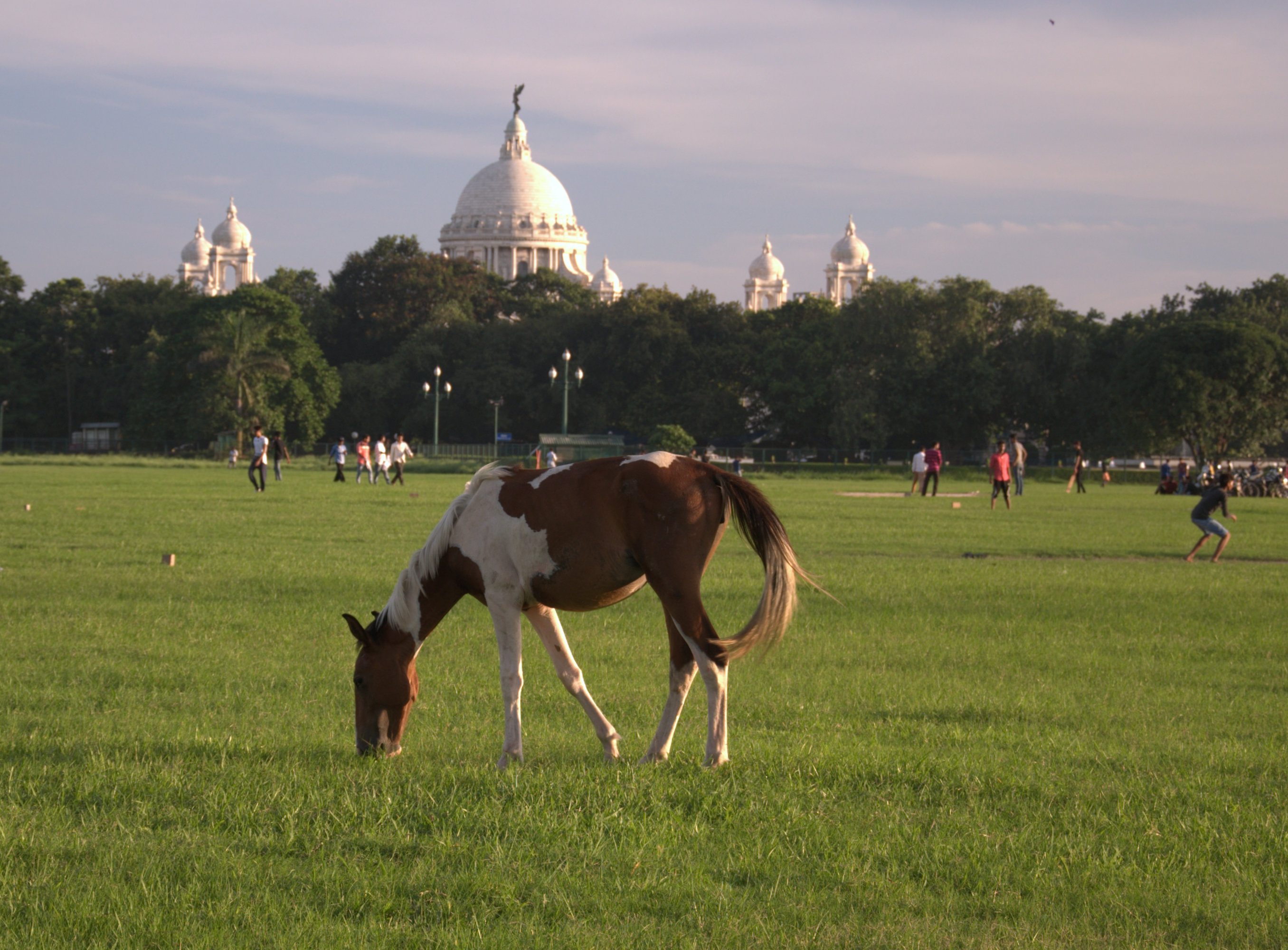 Mohor Kunja (Citizens Park)